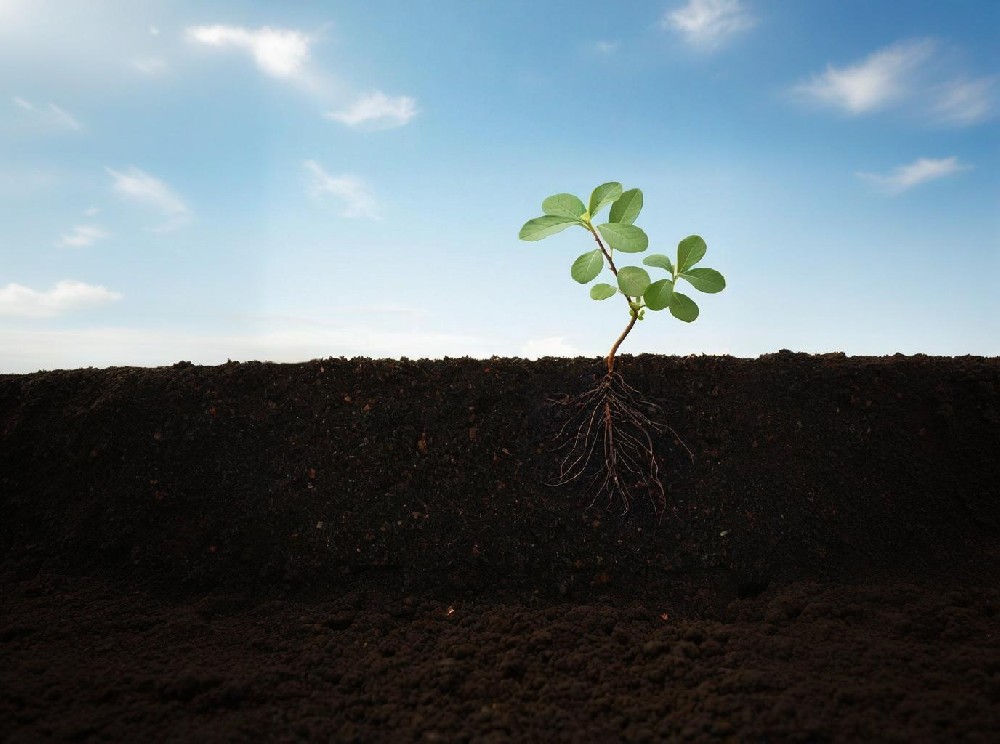 �����h(hu��n)���z�y(c��)��(sh��)�(y��n)�ҷ���