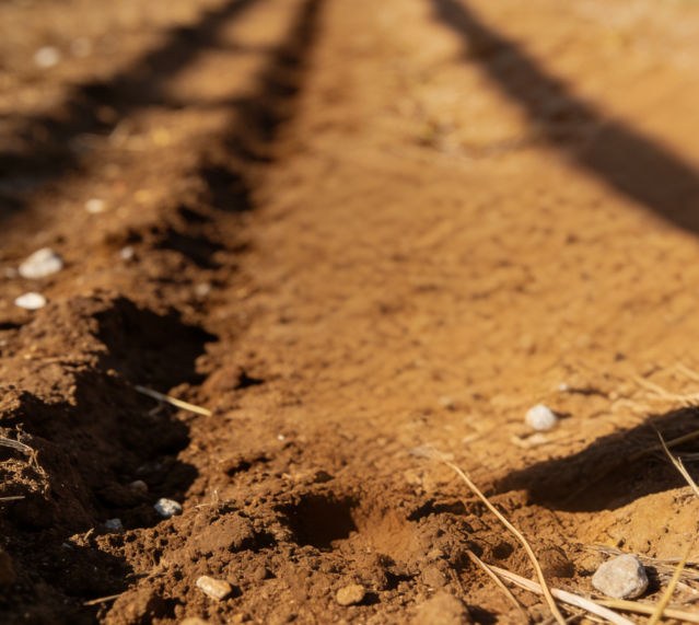 ����Ӳ��Ӌ(j��)