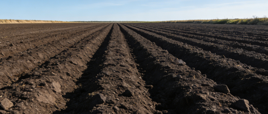 �����F�������x