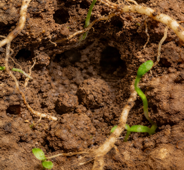 ����ˮ�ݜy���x